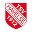 Logo TSV Havelse | Bildrechte: MITTELDEUTSCHER RUNDFUNK Logo TSV Havelse