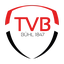 Logo TV Bühl