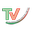 Logo TV Planegg-Krailling