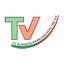 Logo TV Planegg-Krailling