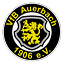 Logo VfB Auerbach | Bildrechte: MITTELDEUTSCHER RUNDFUNK Logo VfB Auerbach