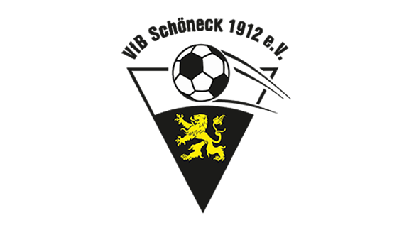 Logo VfB Schöneck