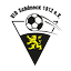 Logo VfB Schöneck