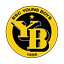 Logo Young Boys Bern