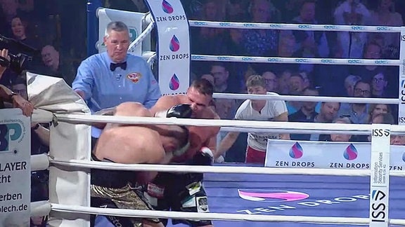 Zwei Boxer im Ring