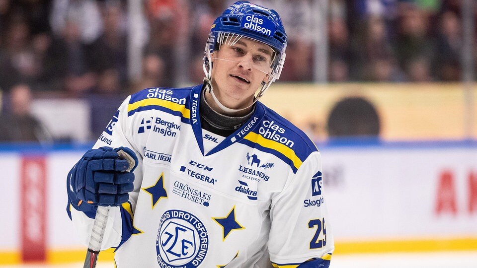 Eishockey Dresdner Eislowen Setzen Auf Rundqvist Mdr De