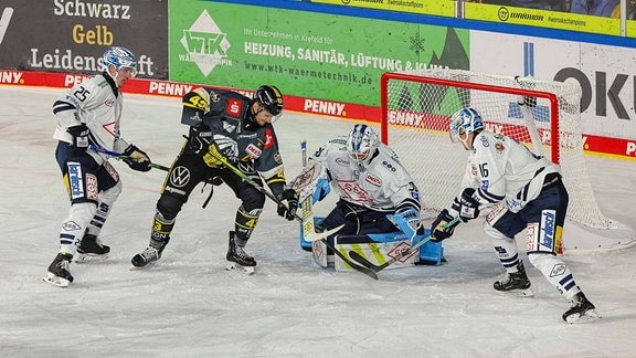 Eishockey Krefeld Pinguine gegen Dresdner Eislöwen