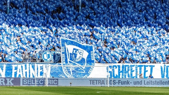 Magdeburger Fans feiern ihre Mannschaft und halten Fahnen in der Hand.