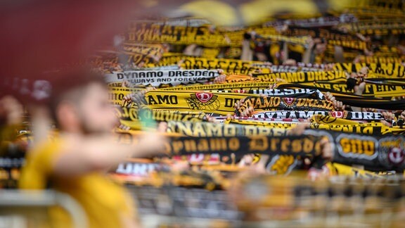 Dynamo Dresden – Ultras Schal