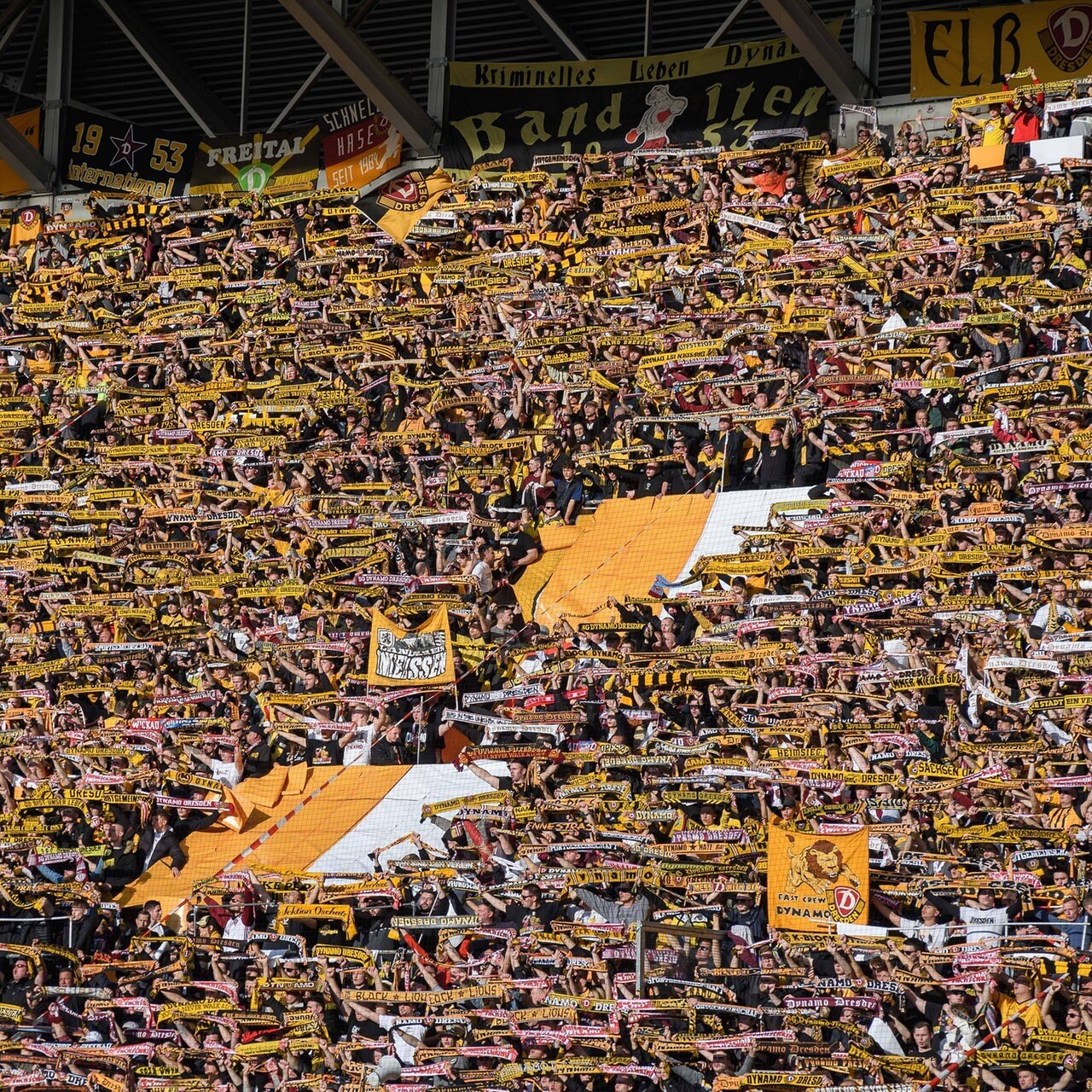 Dynamo Dresden mit Rekord-Unterstützung nach Dortmund MDR.DE