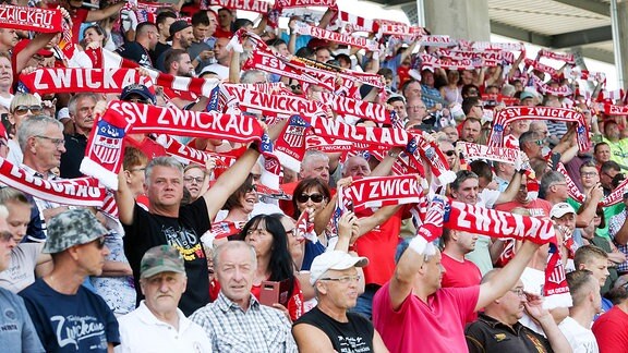 FSV Zwickau Fans im Stadion