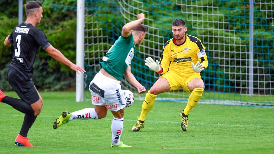 Fußball Magdeburg und Halle siegen Zwickau mit