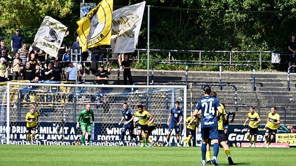 SV Babelsberg - VFC Plauen 