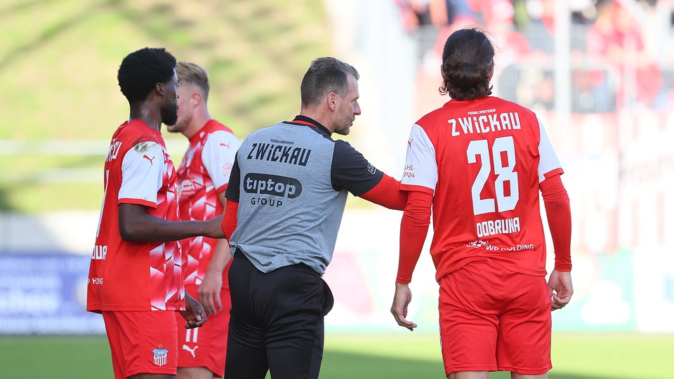 Zwickau fc on sale