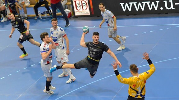 Handball in der BallsportARENA Dresden