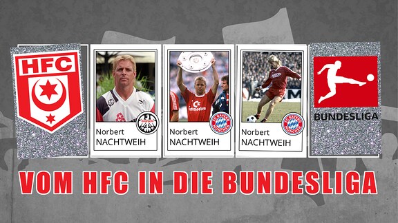 Die Collage zeigt das Logo des Halleschen FC, der Bundesliga und drei Mal Norbert Nachtweih in den Trikots von Eintracht Frankfurt und Bayern München.