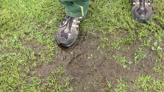 Der Rasen im Ilburg-Stadion des FC Eilenburg ist von den heftigen Regenfällen gezeichnet (18. August 2023)