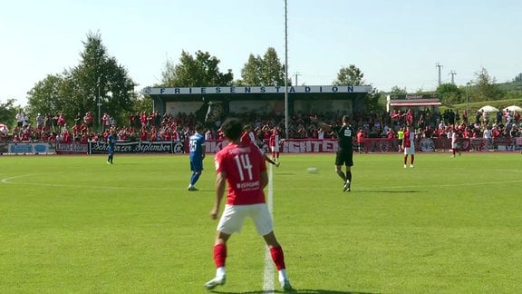 VfB Sangerhausen - Hallescher FC