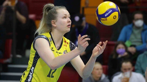 Annick Meijers, Volleyball