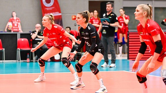 CEV Volleyball Cup 2024, Dresdner SC vs. Viteos Neuchatel 