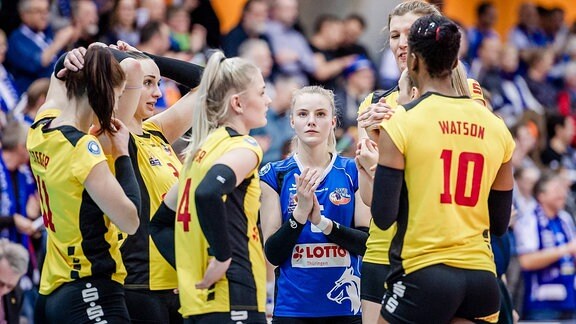 Volleyball-Spielerinen stehen beienander (Sophie Tauchert , 6 VFB Suhl Thueringen, und Team).