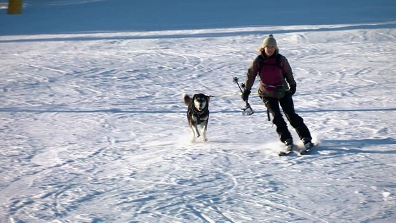 Skifahrerin und Hund.
