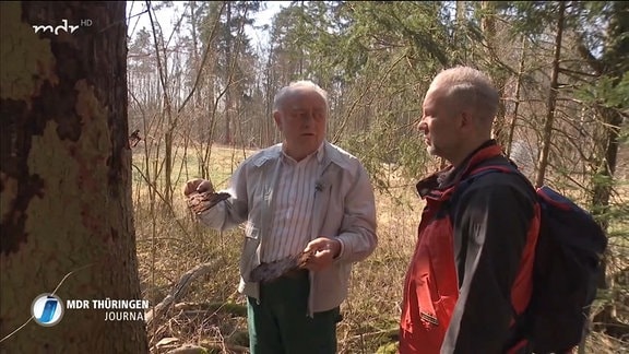 zwei Männer begutachten einen Baum im Wald