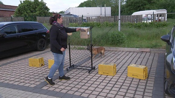 Training für Postzusteller für den Umgang mit Hunden