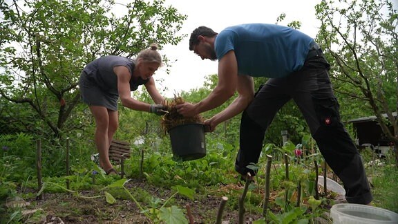 Fabian Fröderking und Marie Himmel arbeiten in ihrem Kleingarten.