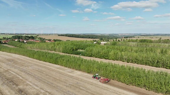 Traktor auf einem Feld mit Baumreihen