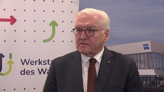 Frank-Walter Steinmeier, Bundespräsident