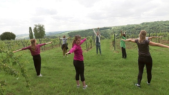 Frauen machen Yoga im Weinberg
