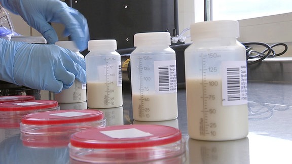 Petrischalen und Milch in Fläschchen in einem Labor