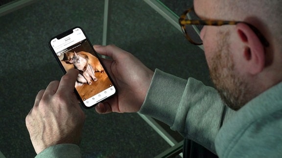 Mann betrachtet Katzenbild auf Handy
