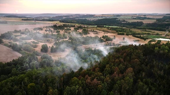 Totale von Brandfläche