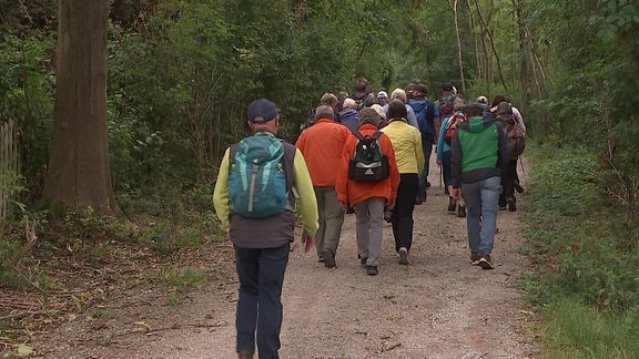 Menschen wandern durch Wald