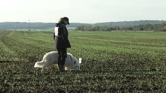 Frau mit Fährtenhund