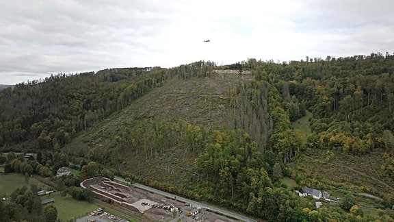 Waldhang mit Hubschrauber