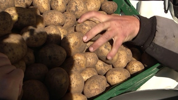 Kiste mit Biokartoffeln