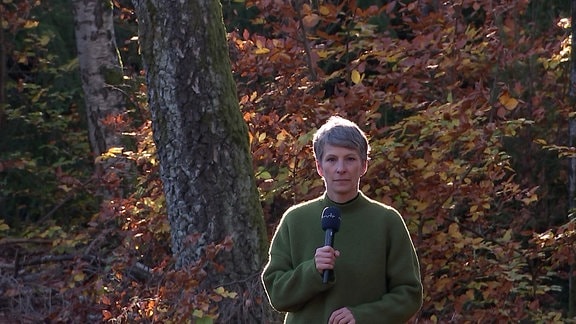 Sandra vor herbstlichen Laubwald