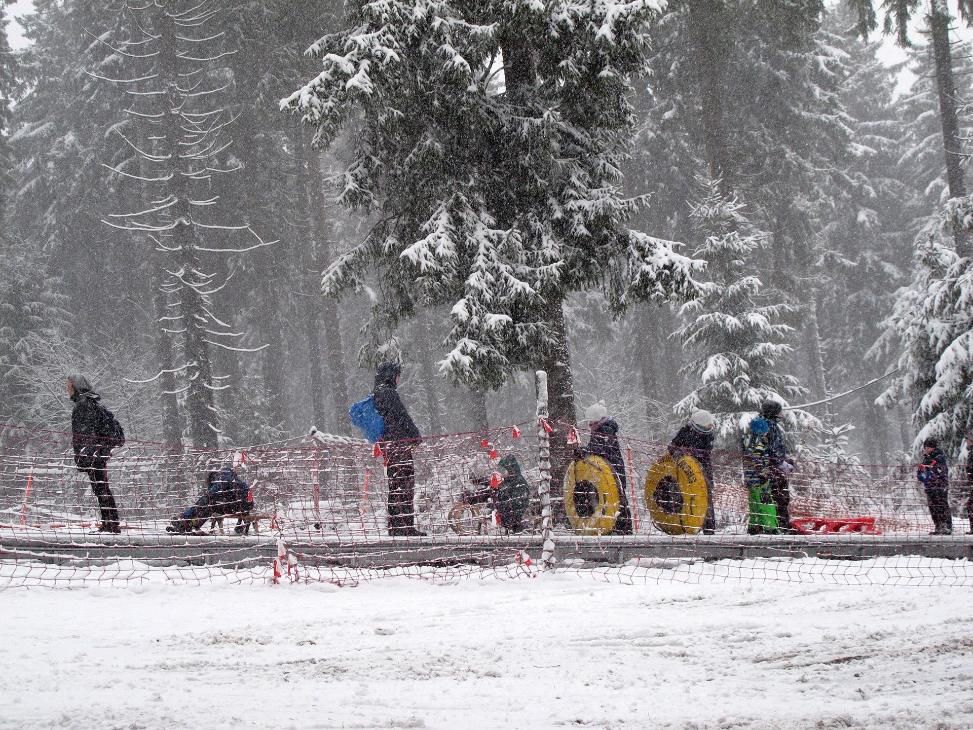 Schnee im Februar WinterLandschaften in Oberhof und am