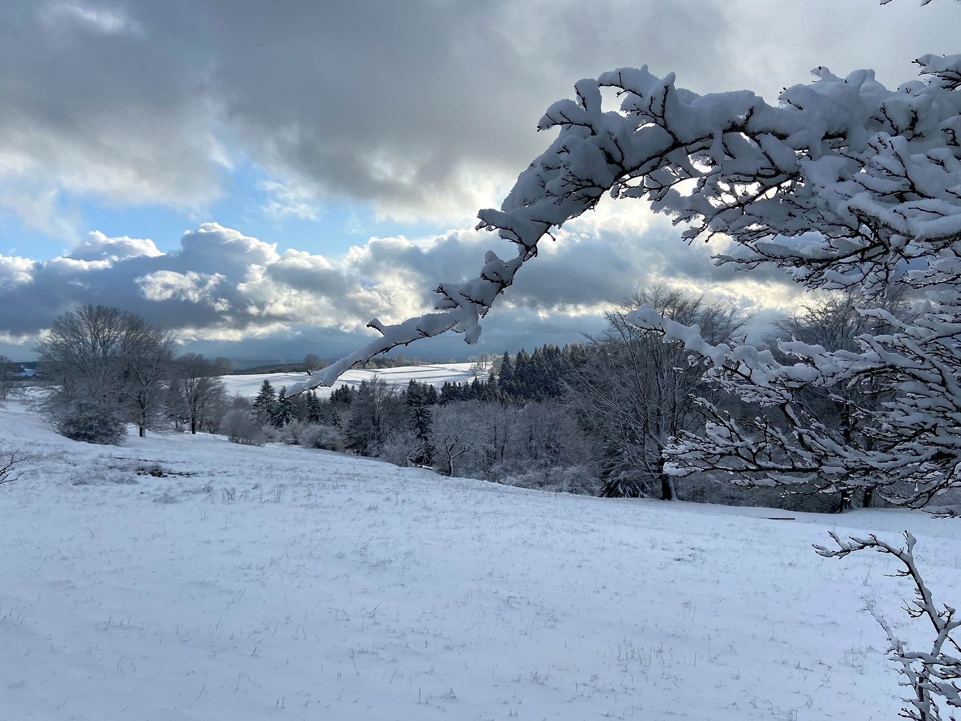 Schnee im Februar: Winter-Landschaften in Oberhof und am Rennsteig  MDR.DE