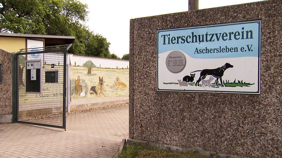 Aschersleben | MDR.DE