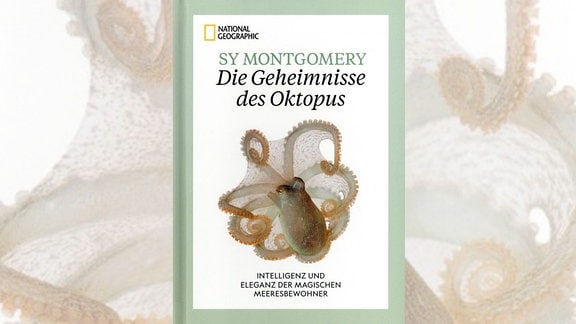 Tierisch Gewinn 1255: "Die Geheimnisse des Oktopus"