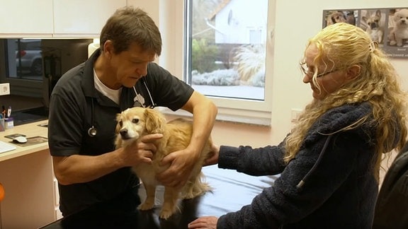 Hund Apollo beim Tierarzt