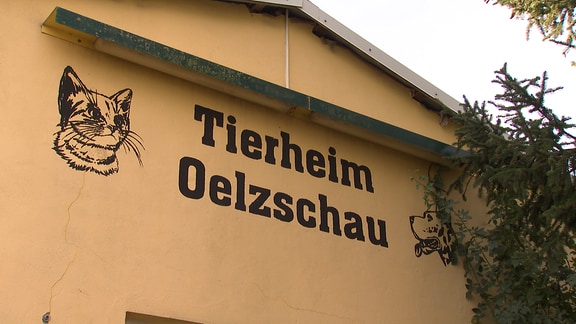 Außenansicht Tierheim Oelzschau