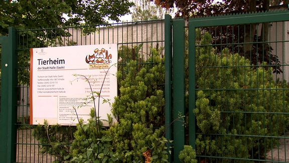 Ein Schild mit der Aufschrift Tierheim hängt an einem grünen Gitterzaun.