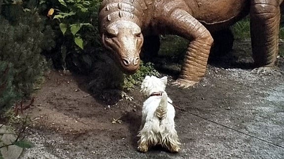 Hund Westi sagt Dinosaurier den Kampf an