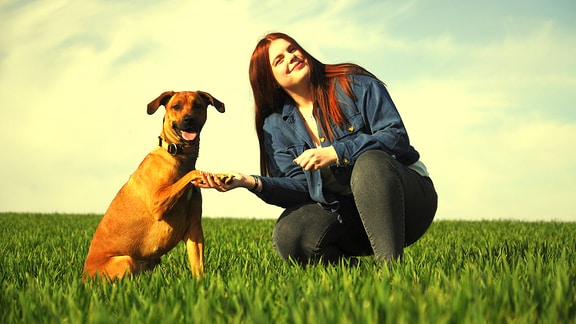 Eine junge Frau sitzt mit ihrem Hund auf einem Feld und hält mit ihrer Hand eine Pfote des Hundes