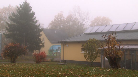 Ein Tierheim im Nebel